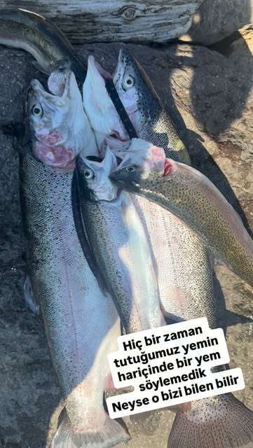 Av Malzemeleri 08 Instagram paylaşımı